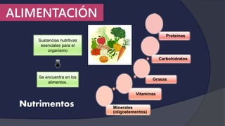 Sustancias nutritivas
esenciales para el
organismo
Se encuentra en los
alimentos.
Minerales
(oligoelementos)
Vitaminas
Grasas
Carbohidratos
Proteínas
Nutrimentos
ALIMENTACIÓN
 