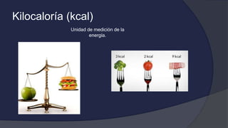 Kilocaloría (kcal)
Unidad de medición de la
energía.
 