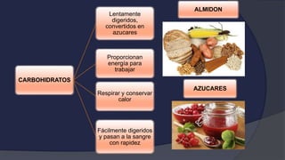 CARBOHIDRATOS
Lentamente
digeridos,
convertidos en
azucares
Proporcionan
energía para
trabajar
Respirar y conservar
calor
Fácilmente digeridos
y pasan a la sangre
con rapidez
ALMIDON
AZUCARES
 