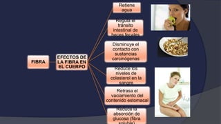 FIBRA
EFECTOS DE
LA FIBRA EN
EL CUERPO
Retiene
agua
Regula el
tránsito
intestinal de
heces fecales
Disminuye el
contacto con
sustancias
carcinógenas
Reduce los
niveles de
colesterol en la
sangre
Retrasa el
vaciamiento del
contenido estomacal
Reduce la
absorción de
glucosa (fibra
 