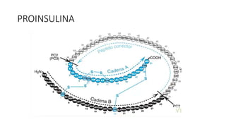 PROINSULINA
 