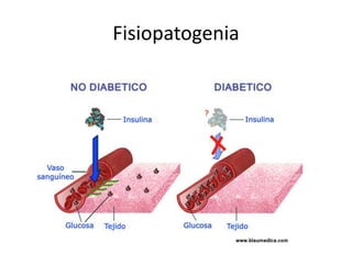 Fisiopatogenia