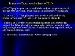 - CD4 T lymphocytes reactive with islet antigens maydestroyb-cells
through MQ activation, production of inflammatorycytokines, etc
- Cytolytic CD8 T lymphocytes may lyse islet cells and locally
produce cytokines (TNF and IL-1) that damage islet cells
- The role of B lymphocytes debated: data from the NOD model
suggest that B lymphocytes are required as antigen presenting cells
early during induction of disease. Possiblyalso later to present antigen
and maintain autoreactivity.
- At later times, autoantibodies further damage β-cells
Immune effector mechanisms of T1D
 