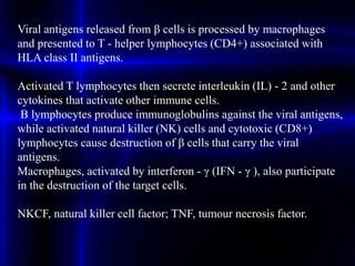 Viral antigens released from β cells is processed by macrophages
and presented to T - helper lymphocytes (CD4+) associated with
HLA class II antigens.
Activated T lymphocytes then secrete interleukin (IL) - 2 and other
cytokines that activate other immune cells.
B lymphocytes produce immunoglobulins against the viral antigens,
while activated natural killer (NK) cells and cytotoxic (CD8+)
lymphocytes cause destruction of β cells that carry the viral
antigens.
Macrophages, activated by interferon - γ (IFN - γ ), also participate
in the destruction of the target cells.
NKCF, natural killer cell factor; TNF, tumour necrosis factor.
 