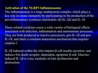 Activation of the NLRP3 Inflammasome
The inflammasome is a large multiprotein complex which plays a
key role in innate immunity by participating in the production of the
pro-inflammatory cytokines interleukin-1β (IL-1β) and IL-18.
These related cytokines cause a wide variety of biological effects
associated with infection, inflammation and autoimmune processes.
They are both produced as inactive precursors, pro-IL-1β and pro-
IL-18, and share a common maturation mechanism that requires
caspase-1
IL-1β induced within the islet impairs β cell insulin secretion and
induces Fas death receptor–dependent, apoptotic β cell. Glucose-
induced IL-1β is a key mediator of islet dysfunction and
destruction.
 