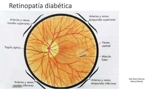 Retinopatía diabética
23/02/2017
Vela Rivera Marcos
Manual Mosby
 