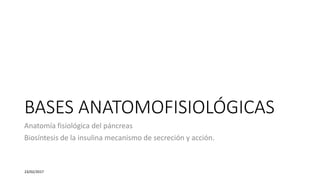 BASES ANATOMOFISIOLÓGICAS
Anatomía fisiológica del páncreas
Biosíntesis de la insulina mecanismo de secreción y acción.
23/02/2017
 