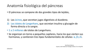 Anatomía fisiológica del páncreas
• El páncreas se compone de dos grandes tipos de tejidos,
1) Los ácinos, que secretan jugos digestivos al duodeno.
2) Los islotes de Langerhans, que secretan insulina y glucagón de
forma directa a la sangre.
• 1 a 2 millones de islotes de Langerhans.
• Se organizan en torno a pequeños capilares, hacia los que vierten sus
hormonas, y contienen tres tipos fundamentales de células: α, β y δ.
23/02/2017
Vela Rivera Marcos
Guyton y hall tratado de fisiología medica 12° ed. Pag 939
 