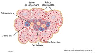 23/02/2017
Vela Rivera Marcos
Guyton y hall tratado de fisiología medica 12° ed. Pag 939
 