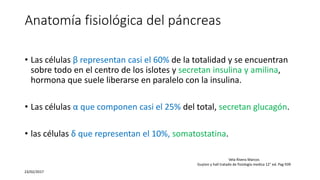 Anatomía fisiológica del páncreas
• Las células β representan casi el 60% de la totalidad y se encuentran
sobre todo en el centro de los islotes y secretan insulina y amilina,
hormona que suele liberarse en paralelo con la insulina.
• Las células α que componen casi el 25% del total, secretan glucagón.
• las células δ que representan el 10%, somatostatina.
23/02/2017
Vela Rivera Marcos
Guyton y hall tratado de fisiología medica 12° ed. Pag 939
 