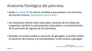 Anatomía fisiológica del páncreas
• Existe, la célula PP, en menor cantidad y que produce una hormona
de función incierta: polipéptido pancreático.
• Las relaciones íntimas entre estos tipos celulares de los islotes de
Langerhans facilitan la comunicación intercelular y el control directo
de la secreción de algunas de las hormonas.
• Ejemplo: la insulina inhibe la secreción de glucagón; la amilina inhibe
la secreción de insulina y la somatostatina, la de insulina y glucagón
23/02/2017
Vela Rivera Marcos
Guyton y hall tratado de fisiología medica 12° ed. Pag 939
 