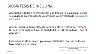BIOSÍNTESIS DE INSULINA.
• Abandona el RER en microvesículas y se transfiere al ap. Golgi donde
se almacena en gránulos. Aquí comienza la conversión de proinsulina
a insulina.
• Aquí actúan las endopeptidasas dependientes de calcio que rompen
la unión de la cadena A con el péptido C (31 res) y la cadena B con el
péptido C.
• La insulina se almacena en gránulos cristalizados con cinc en forma
haxemérica = estabilidad.
23/02/2017
Vela Rivera Marcos Harrison principios de medicina interna
18°ed. Vol 2 pag 2971
Velasquéz Farmacologia Basica y Clinica 18° ed. pág. 622
 