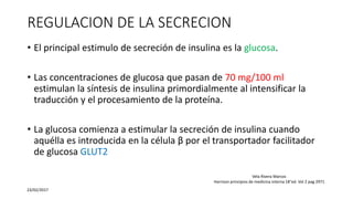 REGULACION DE LA SECRECION
• El principal estimulo de secreción de insulina es la glucosa.
• Las concentraciones de glucosa que pasan de 70 mg/100 ml
estimulan la síntesis de insulina primordialmente al intensificar la
traducción y el procesamiento de la proteína.
• La glucosa comienza a estimular la secreción de insulina cuando
aquélla es introducida en la célula β por el transportador facilitador
de glucosa GLUT2
23/02/2017
Vela Rivera Marcos
Harrison principios de medicina interna 18°ed. Vol 2 pag 2971
 