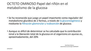 OCTETO OMINOSO Papel del riñón en el
metabolismo de la glucosa
• Se ha reconocido que juega un papel importante como regulador del
metabolismo glucídico de 2 formas, a través de la gluconeogénesis y
mediante la filtración glomerular y reabsorción de glucosa.
• Aunque es difícil de determinar se ha calculado que la contribución
renal a la liberación total de la glucosa en el organismo en ayunas es,
aproximadamente, del 20%
23/02/2017
Vela Rivera Marcos
www.elsevier.es/semergen SEMERGEN
 
