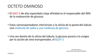 OCTETO OMINOSO
• El SGLT-2 de alta capacidad y baja afinidad es el responsable del 90%
de la reabsorción de glucosa.
• Estos cotransportadores interiorizan a la célula de la pared del túbulo
una molécula de sodio y una molécula de glucosa.
• Una vez dentro de la célula del túbulo, la glucosa pasará a la sangre
por la acción de otro transportador, el GLUT-2
23/02/2017
Vela Rivera Marcos
www.elsevier.es/semergen SEMERGEN
 
