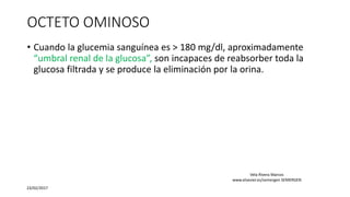 OCTETO OMINOSO
• Cuando la glucemia sanguínea es > 180 mg/dl, aproximadamente
“umbral renal de la glucosa”, son incapaces de reabsorber toda la
glucosa filtrada y se produce la eliminación por la orina.
23/02/2017
Vela Rivera Marcos
www.elsevier.es/semergen SEMERGEN
 