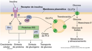23/02/2017
Vela Rivera Marcos
Harrison principios de medicina interna 18°ed. Vol 2 pag 2968
 