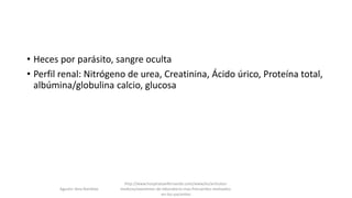 • Heces por parásito, sangre oculta
• Perfil renal: Nitrógeno de urea, Creatinina, Ácido úrico, Proteína total,
albúmina/globulina calcio, glucosa
http://www.hospitalsanfernando.com/www/es/articulos-
medicos/examenes-de-laboratorio-mas-frecuentes-realizados-
en-los-pacientes
Agustin Vera Ramblas
 