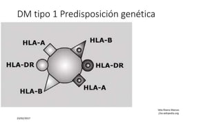 DM tipo 1 Predisposición genética
23/02/2017
Vela Rivera Marcos
//es.wikipedia.org
 