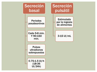 Secreción
basal
Periodos
posabsortivos
Cada 5-8 min.
Y 90-150
min.
Pulsos
ultradianos
sobrepuestos
0.75-1.5 UI/h
(18-36
UI/24h)
Secreción
pulsátil
Estimulada
por la ingesta
de alimentos
3-15 UI/mL
 