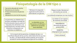 Fisiopatología de la DM tipo 2
• Secreción alterada de insulina
• Resistencia a la insulina
• Producción excesiva de glucosa
hepática
• Metabolismo anormal de las grasa
Retraso en la respuesta
aguda de insulina ante la
estimulación con glucosa
Etapas iniciales: Resistencia
a la insulina casi normal
Las células β compensan con mas insulina
Los islotes no son capaces
de mantener ese estado
PREDIABETES
(Aumento de glucosa
postprandial)
DIABETES
(Hiperglicemia en ayunas)
Falla la células β
Los pacientes con diabetes tipo 2
secretan cantidades normales de
insulina durante el ayuno, pero en
respuesta a los alimentos o una
carga de glucosa, secretan menos
insulina en comparación con
individuos no diabéticos.
La obesidad, es muy
frecuente en la DM tipo 2
(≥80% de los pacientes
tiene obesidad).
En la mayoría de los pacientes, la diabetes de tipo 2 se
manifiesta después de los 30 años, sobre todo entre los 50 y los
60 años, y se desarrolla de manera gradual, por lo que ha
recibido el nombre de diabetes de aparición en el adulto.
 