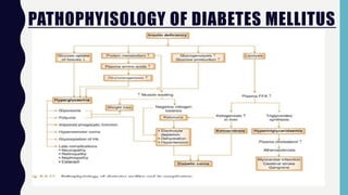 PATHOPHYISOLOGY OF DIABETES MELLITUS
 