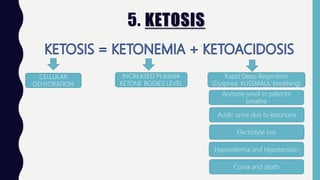 5. KETOSIS
INCREASED PLASMA
KETONE BODIES LEVEL
CELLULAR
DEHYDRATION
Rapid Deep Respiration
(Dyspnea, KUSSMAUL breathing)
Electrolyte loss
Acidic urine due to ketonuria
Acetone smell in patient’s
breathe
Coma and death
Hypovolemia and Hypotension
 