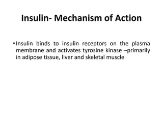 Insulin- Mechanism of Action
•Insulin binds to insulin receptors on the plasma
membrane and activates tyrosine kinase –primarily
in adipose tissue, liver and skeletal muscle
 