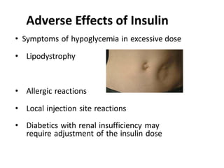 • Symptoms of hypoglycemia in excessive dose
• Lipodystrophy
• Allergic reactions
• Local injection site reactions
• Diabetics with renal insufficiency may
require adjustment of the insulin dose
Adverse Effects of Insulin
 