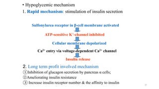 • Hypoglycemic mechanism
1. Rapid mechanism: stimulation of insulin secretion
47
Sulfonylurea receptor in β-cell membrane activated
ATP-sensitive K+-channel inhibited
Cellular membrane depolarized
Ca2+ entry via voltage-dependent Ca2+ channel
Insulin release
2. Long term profit involved mechanism
①Inhibition of glucagon secretion by pancreas α cells;
②Ameliorating insulin resistance
③ Increase insulin receptor number & the affinity to insulin
 