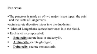Pancreas
The pancreas is made up of two major tissue types: the acini
and the islets of Langerhans.
acini secrete digestive juices into the duodenum
 islets of Langerhans secrete hormones into the blood.
 Each islet is composed of:
 Beta cells:secrete insulin and amylin,
 Alpha cells:secrete glucagon,
 Delta cells: secrete somatostatin
 