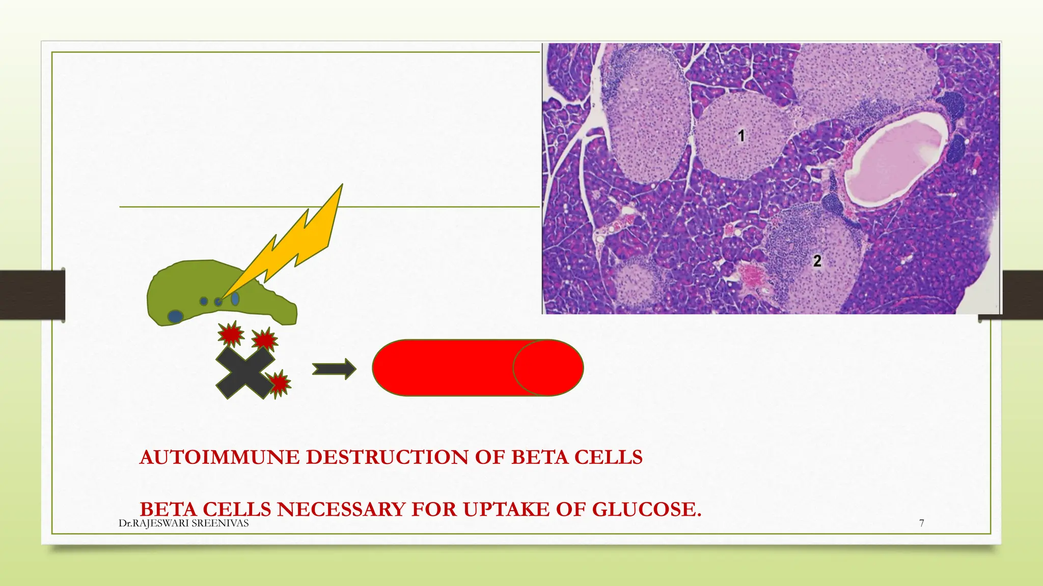 DIABETES MELLITU- types and mechanism of action | PPTX