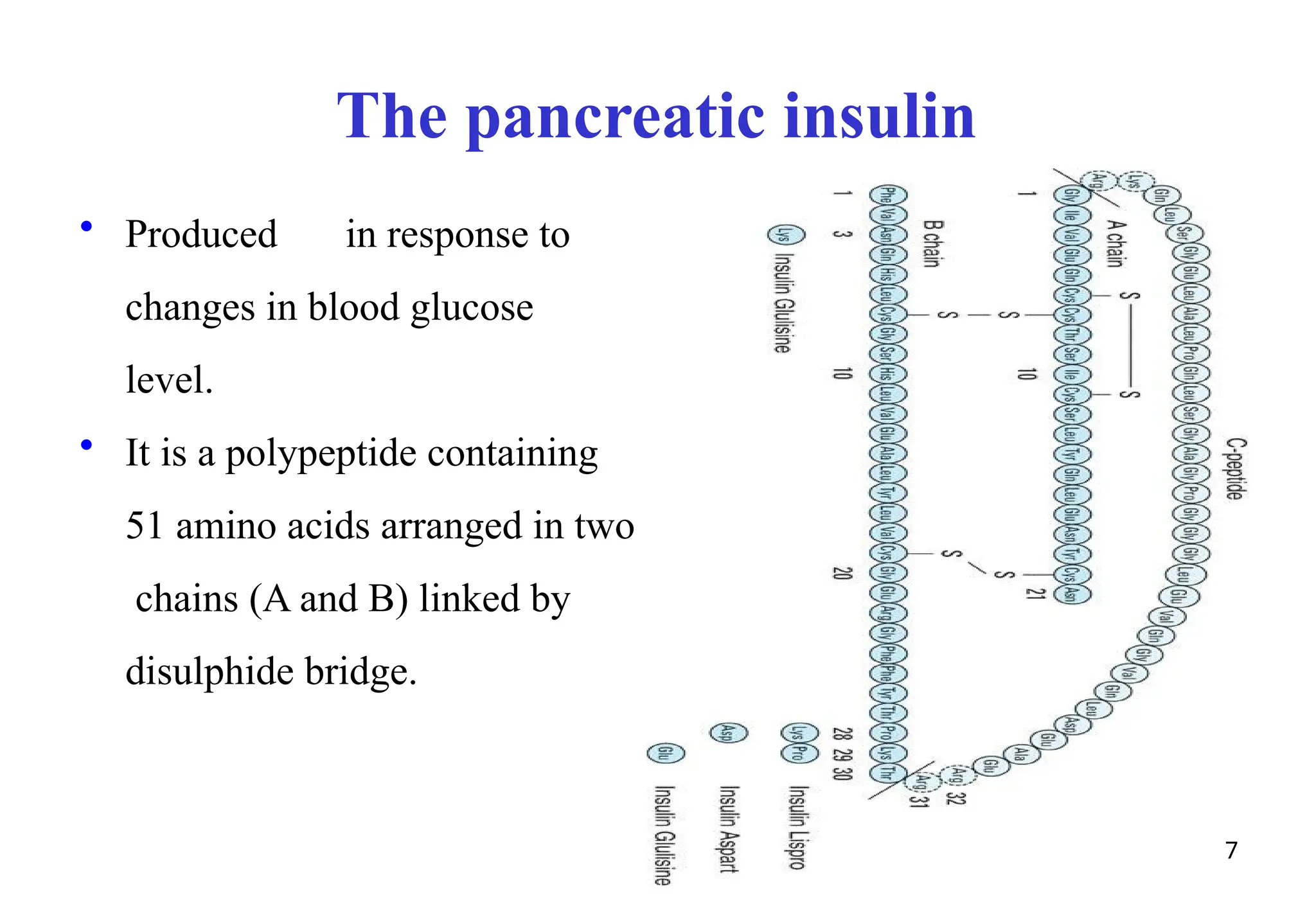 The pancreatic insulin
• Produced in response to
changes in blood glucose
level.
• It is a polypeptide containing
51 amino acids arranged in two
chains (A and B) linked by
disulphide bridge.
7
 
