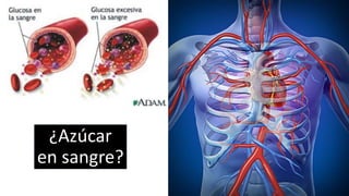 ¿Azúcar
en sangre?
 
