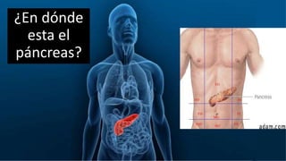 ¿En dónde
esta el
páncreas?
 