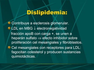 Dislipidemia:
Contribuye a esclerosis glomerular.
LDL en MBG ↓ electronegatividad
fracción apoB con carga +, se unen a
heparán sulfato ⇒ efecto inhibidor sobre
proliferación cel mesangiales y fibroblastos.
Cel mesangiales con receptores para LDL:
fagocitan colesterol y producen sustancias
quimiotácticas.
 