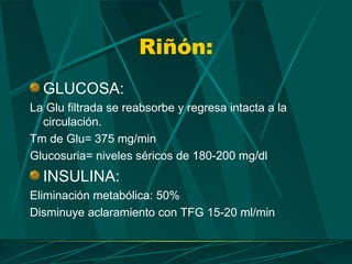 Riñón:
  GLUCOSA:
La Glu filtrada se reabsorbe y regresa intacta a la
  circulación.
Tm de Glu= 375 mg/min
Glucosuria= niveles séricos de 180-200 mg/dl
  INSULINA:
Eliminación metabólica: 50%
Disminuye aclaramiento con TFG 15-20 ml/min
 