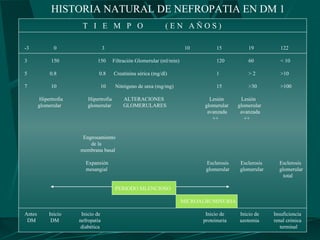 HISTORIA NATURAL DE NEFROPATIA EN DM 1
                        T I E M P O                              (EN AÑOS)

-3             0                    3                                      10         15          19          122

3             150              150       Filtración Glomerular (ml/min)               120         60          < 10

5            0.8                0.8      Creatinina sérica (mg/dl)                    1           >2          >10

7             10                10        Nitrógeno de urea (mg/mg)                   15          >30         >100

         Hipertrofia       Hipertrofia       ALTERACIONES                          Lesión      Lesión
        glomerular         glomerular        GLOMERULARES                        glomerular   glomerular
                                                                                  avanzada     avanzada
                                                                                    ++           ++


                        Engrosamiento
                           de la
                       membrana basal

                          Expansión                                              Esclerosis   Esclerosis     Esclerosis
                          mesangial                                              glomerular   glomerular     glomerular
                                                                                                               total

                                          PERIODO SILENCIOSO

                                                                          MICROALBUMINURIA

Antes        Inicio     Inicio de                                                Inicio de    Inicio de    Insuficiencia
 DM           DM       nefropatía                                               proteinuria   azotemia     renal crónica
                        diabética                                                                             terminal
 
