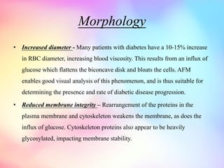 Afm Box Rbc Comprehensive Overview of Diabetes Mellitus: Morphology and ...