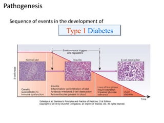 Sequence of events in the development of
Pathogenesis
Type 1 Diabetes
 