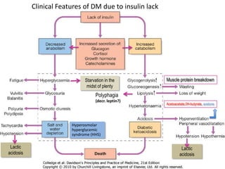Clinical Features of DM due to insulin lack
Polyphagia
(decr. leptin?)
Starvation in the
midst of plenty
Hyperosmolar
hyperglycemic
syndrome (HHS)
Lactic
acidosis
Lactic
acidosis
Muscle protein breakdown
Acetoacetate,0H-butyrate, acetone
 
