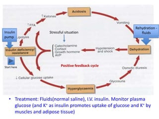 Stressful situation
Positive feedback cycleStart here
• Treatment: Fluids(normal saline), I.V. insulin. Monitor plasma
glucose (and K+ as insulin promotes uptake of glucose and K+ by
muscles and adipose tissue)
Insulin
pump
Rehydration -
fluids
 
