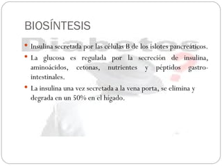 BIOSÍNTESIS Insulina secretada por las células B de los islotes pancreáticos. La glucosa es regulada por la secreción de insulina, aminoácidos, cetonas, nutrientes y péptidos gastro-intestinales. La insulina una vez secretada a la vena porta, se elimina y degrada en un 50% en el hígado.  