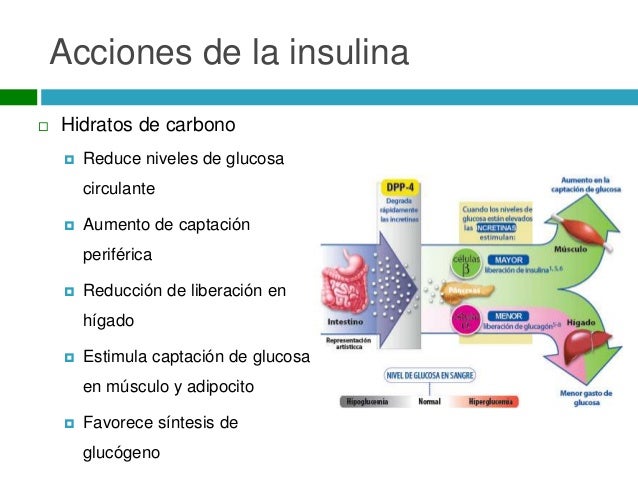 Diabetes mellitus 2 Diabetes mellitus 2