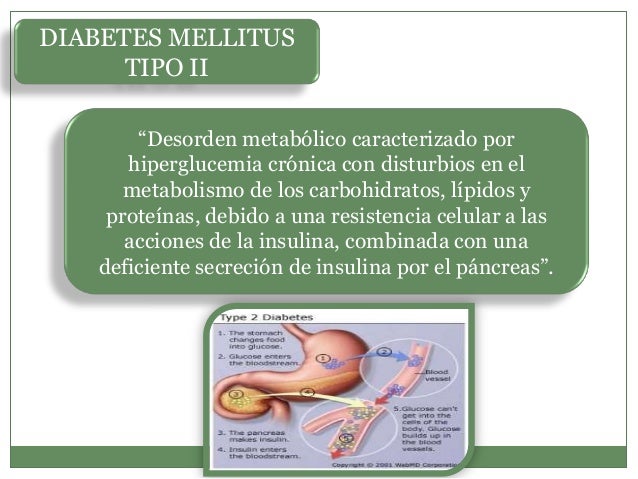 Diabetes mellitus 2. historia natural de la enfermedad Diabetes mellitus 2. historia natural de la enfermedad