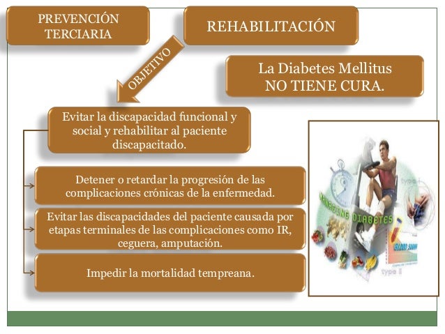 Diabetes mellitus 2. historia natural de la enfermedad Diabetes mellitus 2. historia natural de la enfermedad