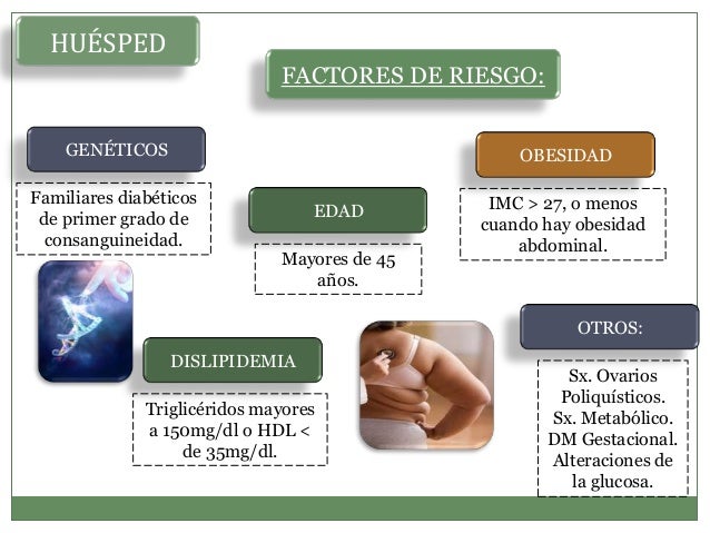 Diabetes mellitus 2. historia natural de la enfermedad Diabetes mellitus 2. historia natural de la enfermedad