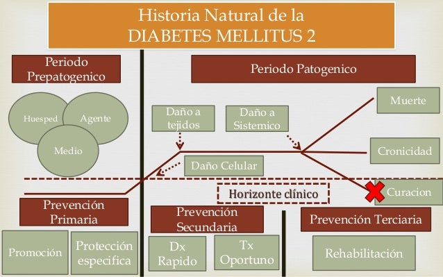 Diabetes mellitus 2 Historia Natural Diabetes mellitus 2 Historia Natural