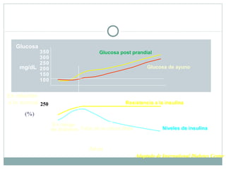 Historia natural de la diabetes tipo 2
Glucosa
350
300
250
mg/dL 200
150
100

Glucosa post prandial
Glucosa de ayuno

En relación
a lo normal 250
(%)

Resistencia a la insulina

200
150
100
En riesgo
50 de diabetes Falla de la célula Beta
0
0
5
10 15 20
-10 -5

Niveles de insulina

25

30

Años
Adaptado de International Diabetes Center

 