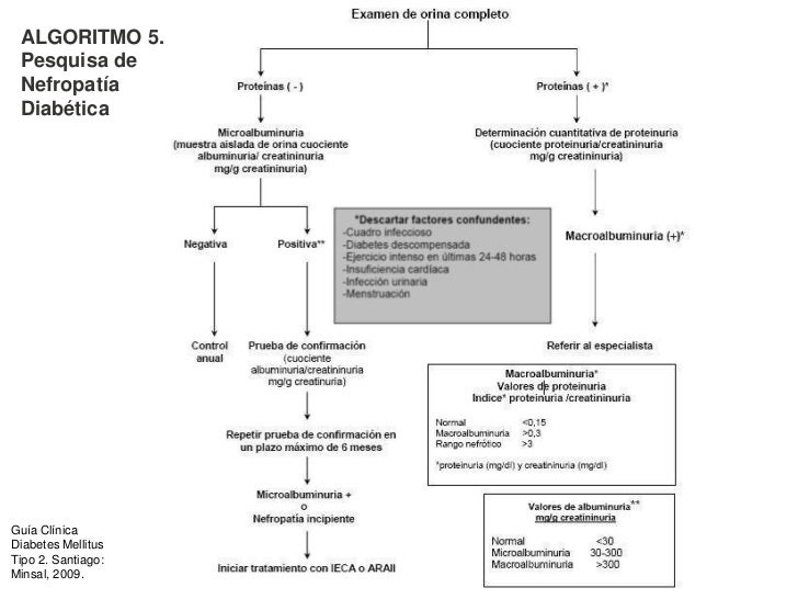 Diabetes mellitus 2010